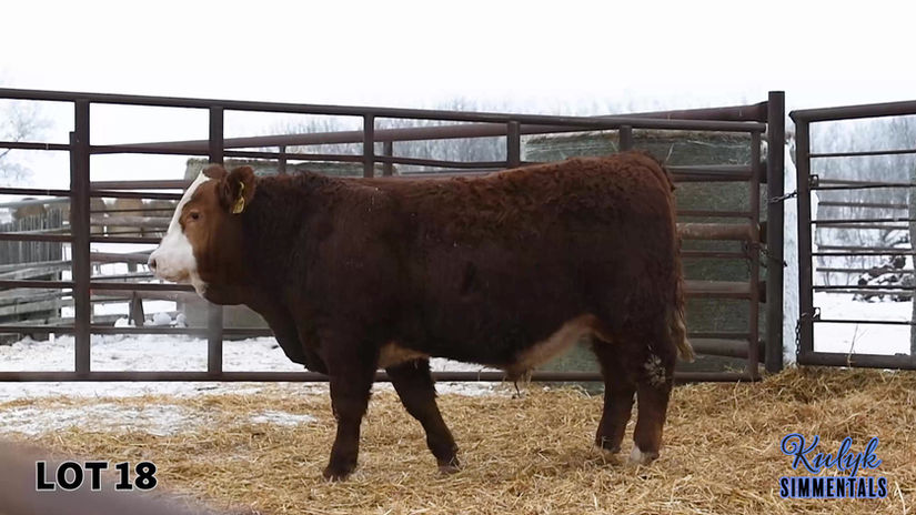 LOT 18 - RUK 102M